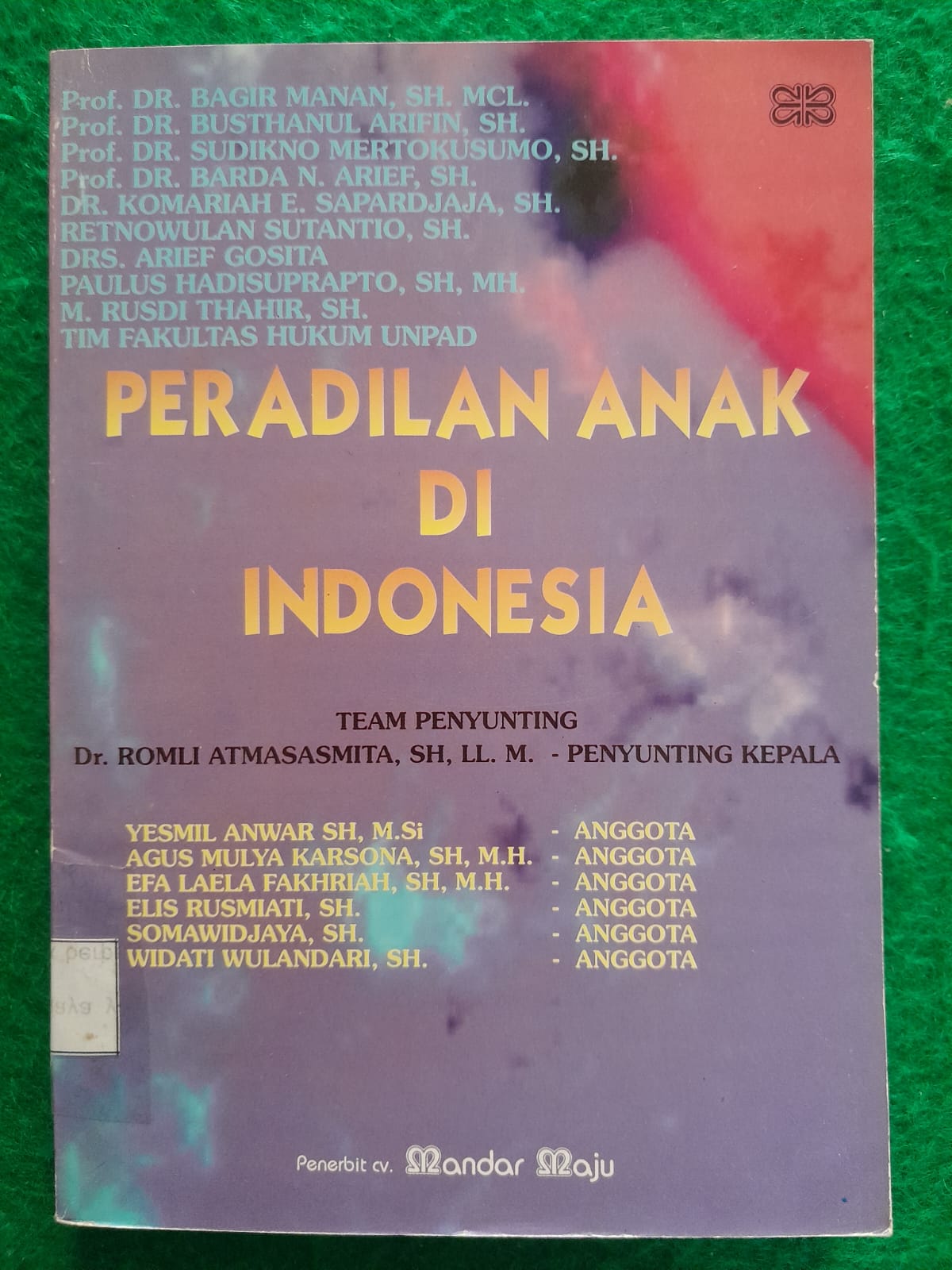 PERADILAN ANAK DI INDONESIA